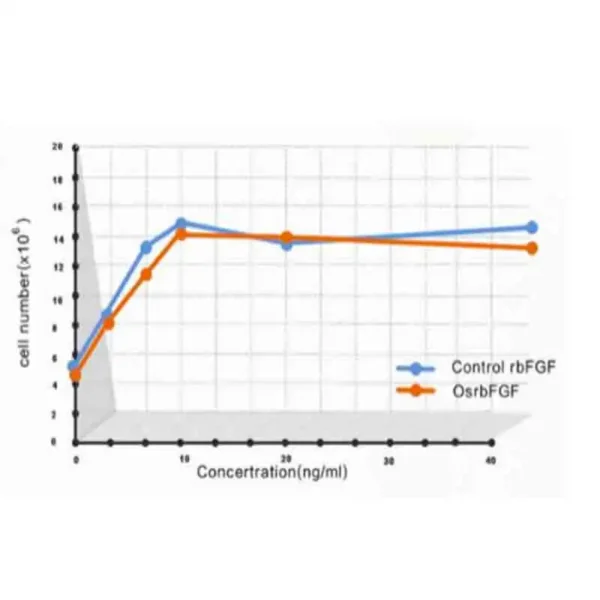 Recombinant Human Basic Fibroblast Growth Factor (OsrhbFGF) - Image 7