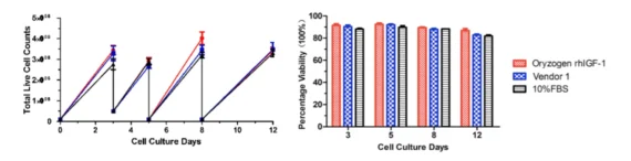 Left: Line graph showing total live cell counts across multiple generations, comparing Oryzogen rhIGF-1, another vendor, and 10% FBS, with Oryzogen showing consistently higher proliferation.Right: Bar chart comparing cell viability percentages at days 3, 5, and 12 for Oryzogen rhIGF-1, another vendor, and 10% FBS. All show high viability, with Oryzogen maintaining superior consistency.