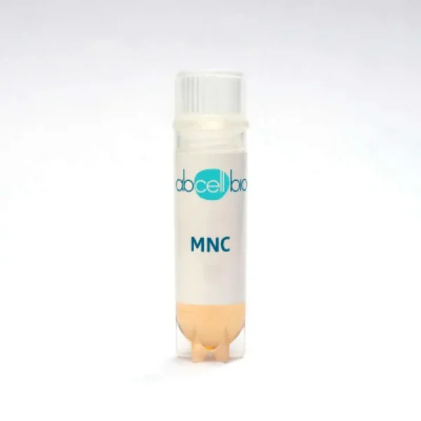 Human Mononuclear Cells (MNC) - Image 2
