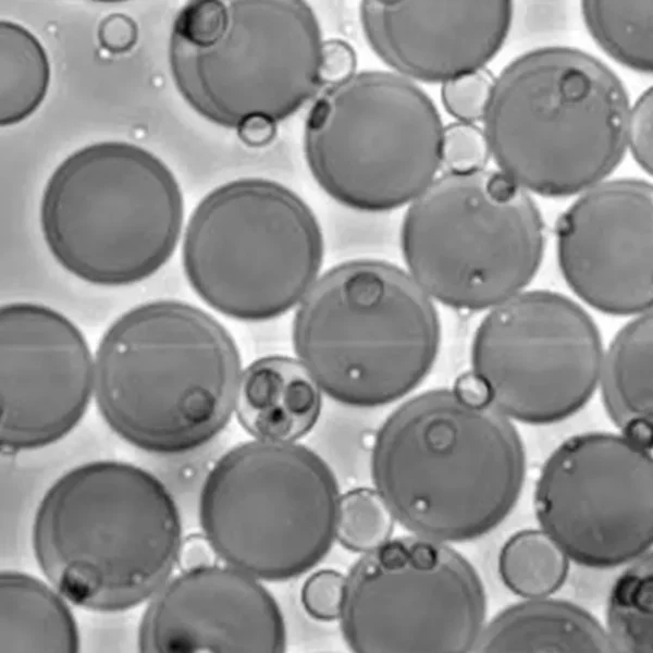 Gel Beads
