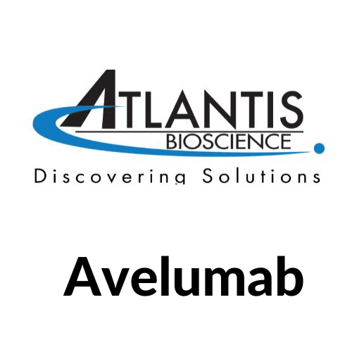 Avelumab