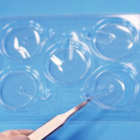 PermeaPlain Barrier - Image 2