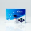 Hydroxystilbamidine (Fluoro-Gold™)