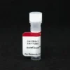 AccuGreen™ Standard 2, 10 ng/uL - 1 mL