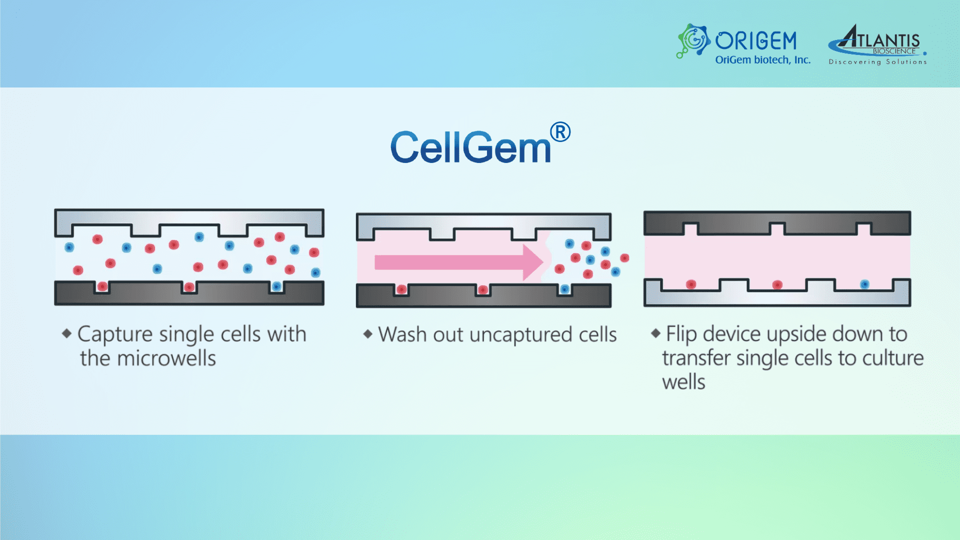 CellGem platform