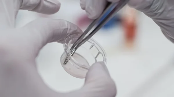 3D Printed ASIAN human epidermal keratinocytes (For in-vitro) - Image 9