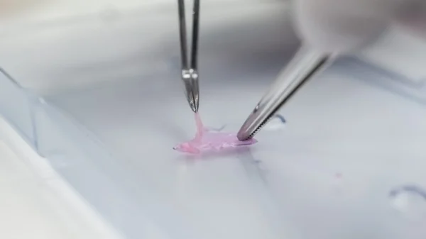3D Printed ASIAN human epidermal keratinocytes (For in-vitro) - Image 11