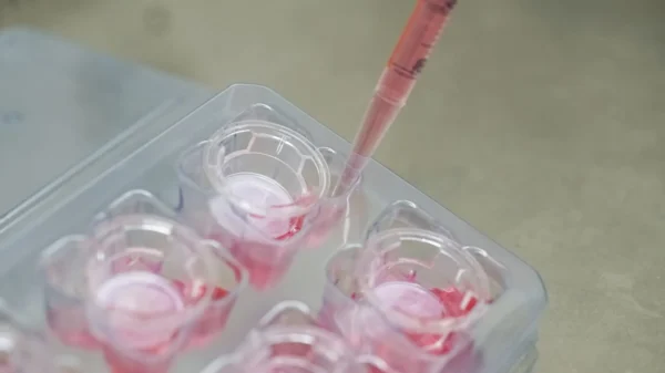 Keratinocyte Differentiation Media-suitable for 2D, 3D and co-cultures - Image 6