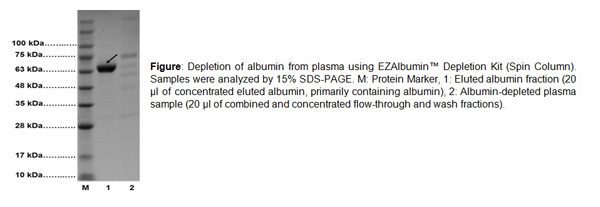 EZAlbumin Depletion Kit(Spin Column) assay kit 일반 시험 데이터/표준 곡선(참고용) 이미지