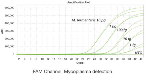 BioMycoX® Mycoplasma qPCR Detection Kit - Image 3