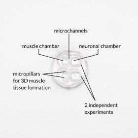 OMEGANMJ Neuromuscular Junction Device - Image 3