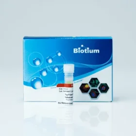 NucView® 405 Caspase-3 Substrate, 1 mM in DMSO