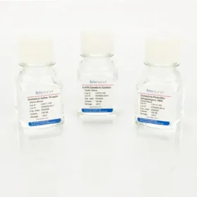 Antibiotic-Antimycotic 100X - 100ml