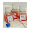 MarrowGrow Medium 100ml