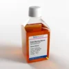 Fetal Bovine Serum (South America) Ultra-low Endotoxin 500ml