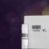 Pheno Drive