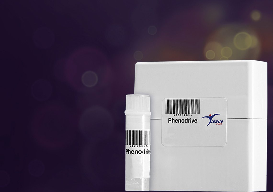 Pheno Drive