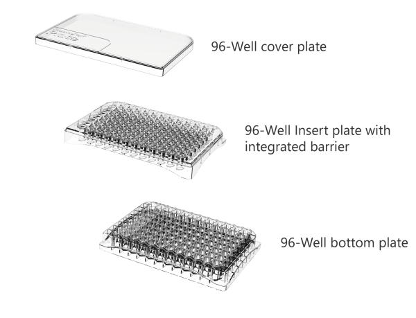 PermeaPlain Plate - Image 2