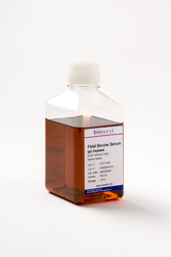 Fetal Bovine Serum Ultra-Low IgG