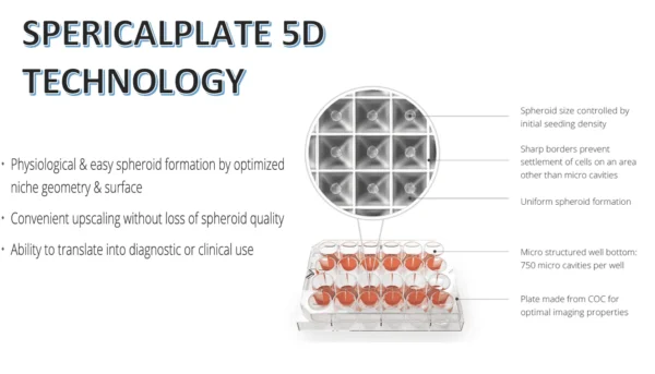SphericalPlate 5D-Spheroids Cell Culture Plate - Image 9