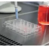 SphericalPlate 5D-Spheroids Cell Culture Plate - Image 4