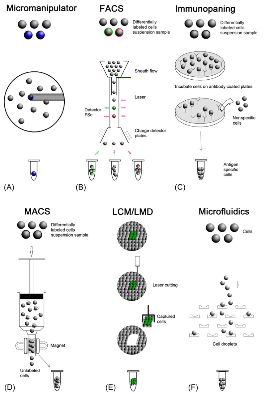 Single-cell isolation techniques