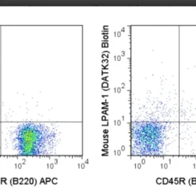 Biotin Anti-Mouse LPAM-1 (DATK32)