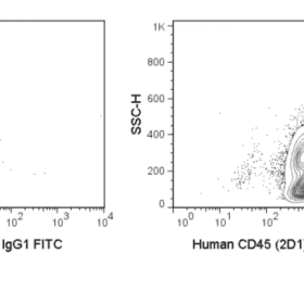 FITC Anti-Human CD45 (2D1)