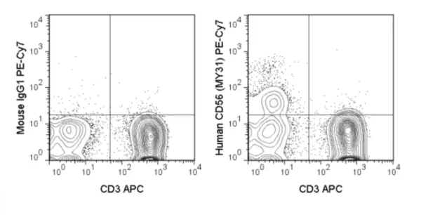 PE-Cyanine7 Anti-Human CD56 (NCAM) (MY31)