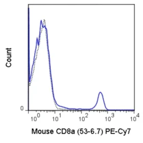 PE-Cyanine7 Anti-Mouse CD8a (53-6.7)