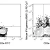 PE-Cyanine7 Anti-Mouse IFN gamma (XMG1.2)