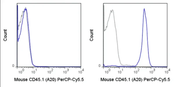 PerCP-Cyanine5.5 Anti-Mouse CD45.1 (A20)