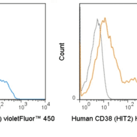 violetFluor™ 450 Anti-Human CD38 (HIT2)