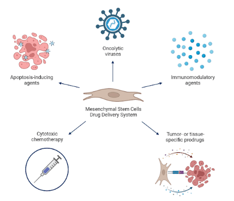 Mesenchymal stem cell-based drug delivery strategies