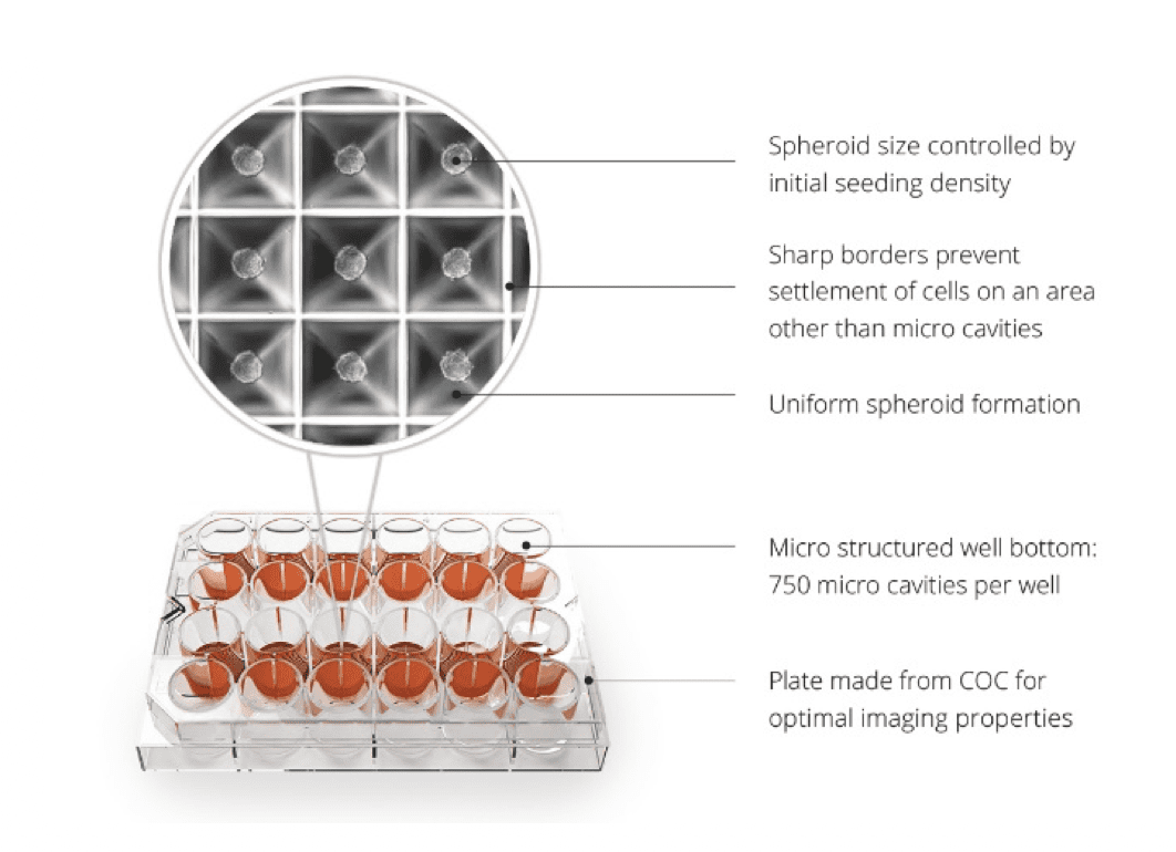 SphericalPlate 5D technology for high throughput production of speroids