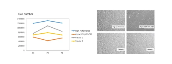 Growth chart and cell image of umbilical cord derived hMSCs grown in STEMGOLD mesenchymal stem cell media