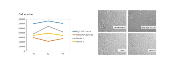 Growth chart and cell image of umbilical cord derived hMSCs grown in STEMGOLD mesenchymal stem cell media