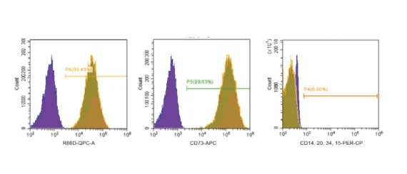 Surface markers graph measured from hMSCs grown in STEMGOLD mesenchymal stem cell growth media
