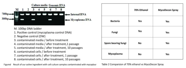 Mycoplasma Decontamination (MycoDecon) Spray - Image 2