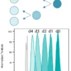 Calcein AM Cell Viability Assay Kit - Image 2