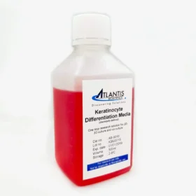 Keratinocyte Differentiation Media-suitable for 2D, 3D and co-cultures