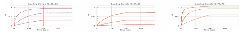 Kd measurement by anti-human Fc based capture approach for Algorithm guided antibody design of an antibody.