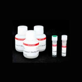 CF®488A Annexin V and PI Apoptosis Kit - 100 次检测