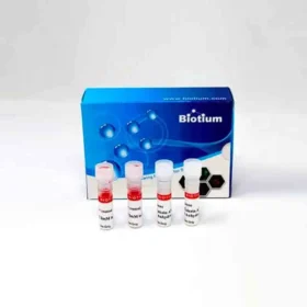 Viability/Cytotoxicity Assay Kit for Animal Live & Dead Cells