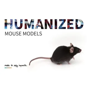 Humanized Immune Checkpoint Mouse Models