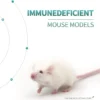 Immunodeficient Mouse Models