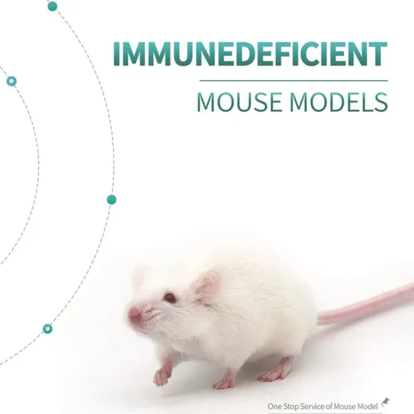 Immunodeficient Mouse Models