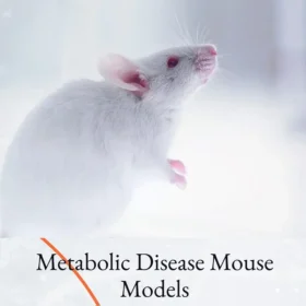 Metabolic Disease Mouse Models
