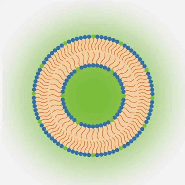 Pronanosome Liposome Cationic Fluorescent