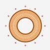 Pronanosome Liposome Cationic
